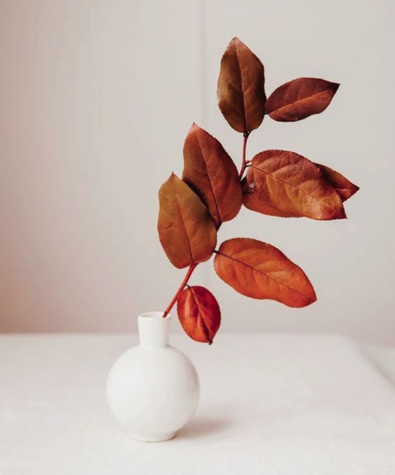 Decoração