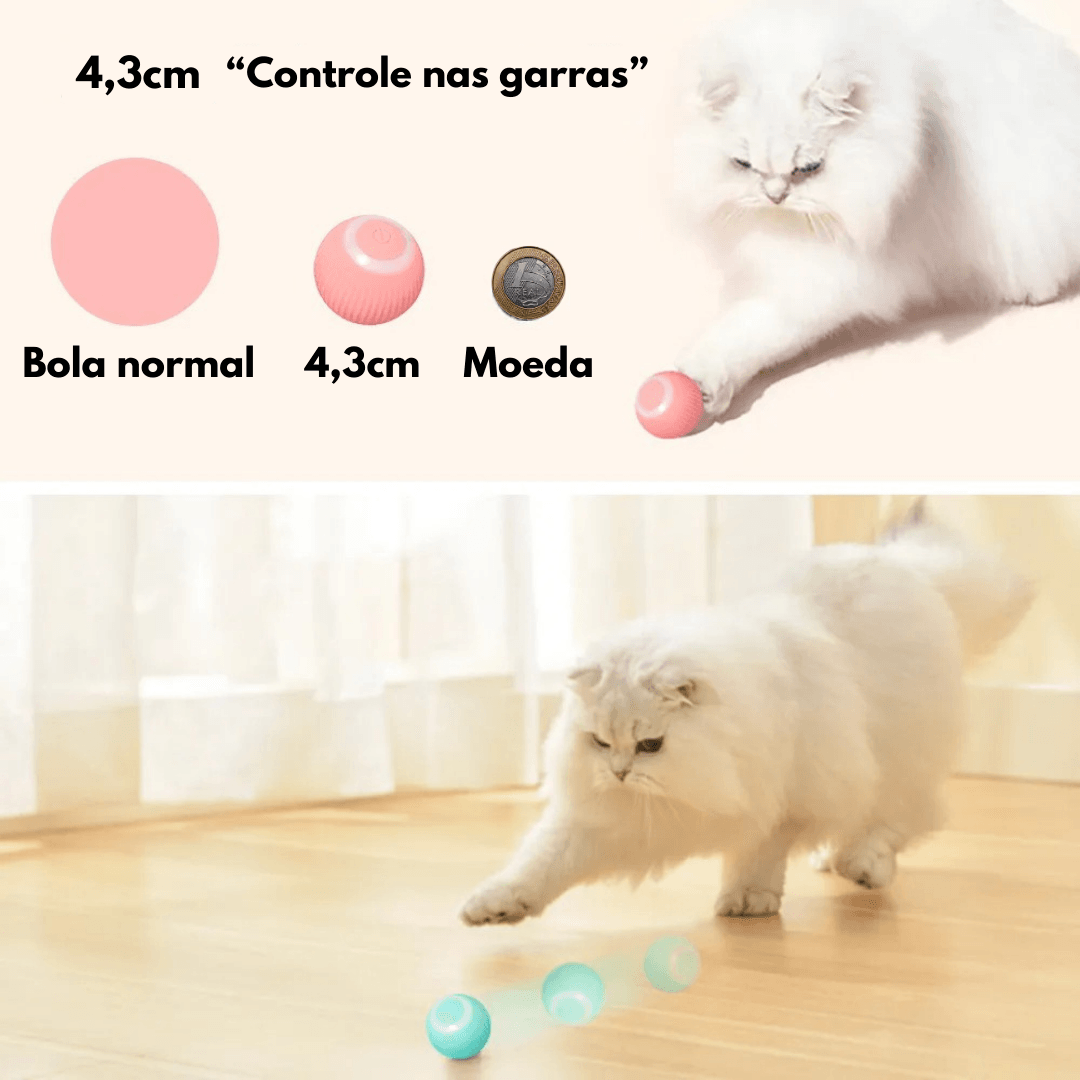 Bolinhas Inteligentes para Cães e Gatos - ORGANIZA COM FÊ