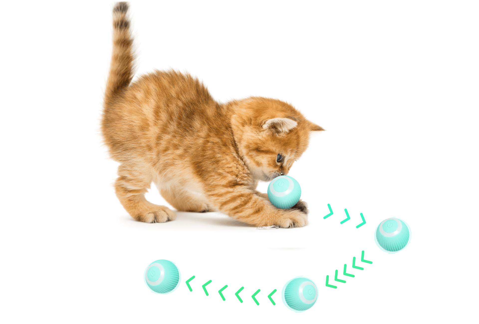 Bolinhas Inteligentes para Cães e Gatos - ORGANIZA COM FÊ
